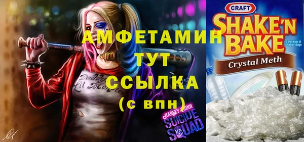 прущие грибы Балахна