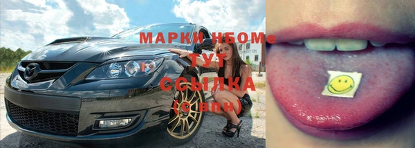 прущие грибы Балахна