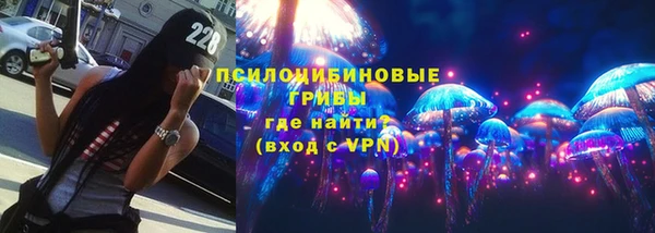 прущие грибы Балахна
