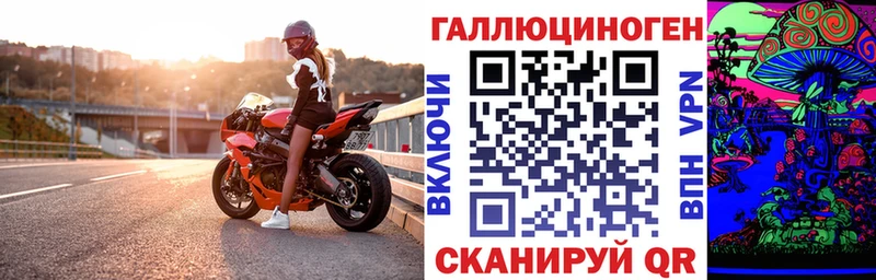 OMG   Пятигорск  Галлюциногенные грибы GOLDEN TEACHER 