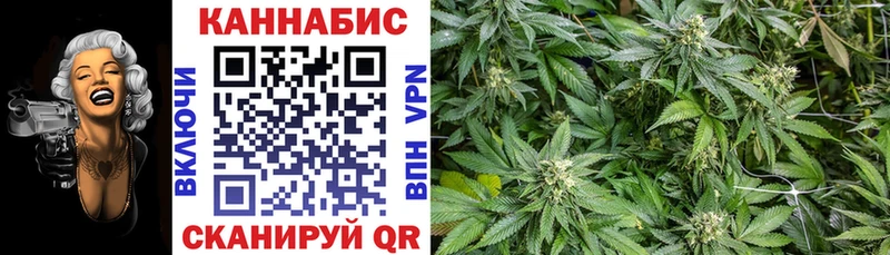 Бошки марихуана THC 21% как найти закладки Пятигорск